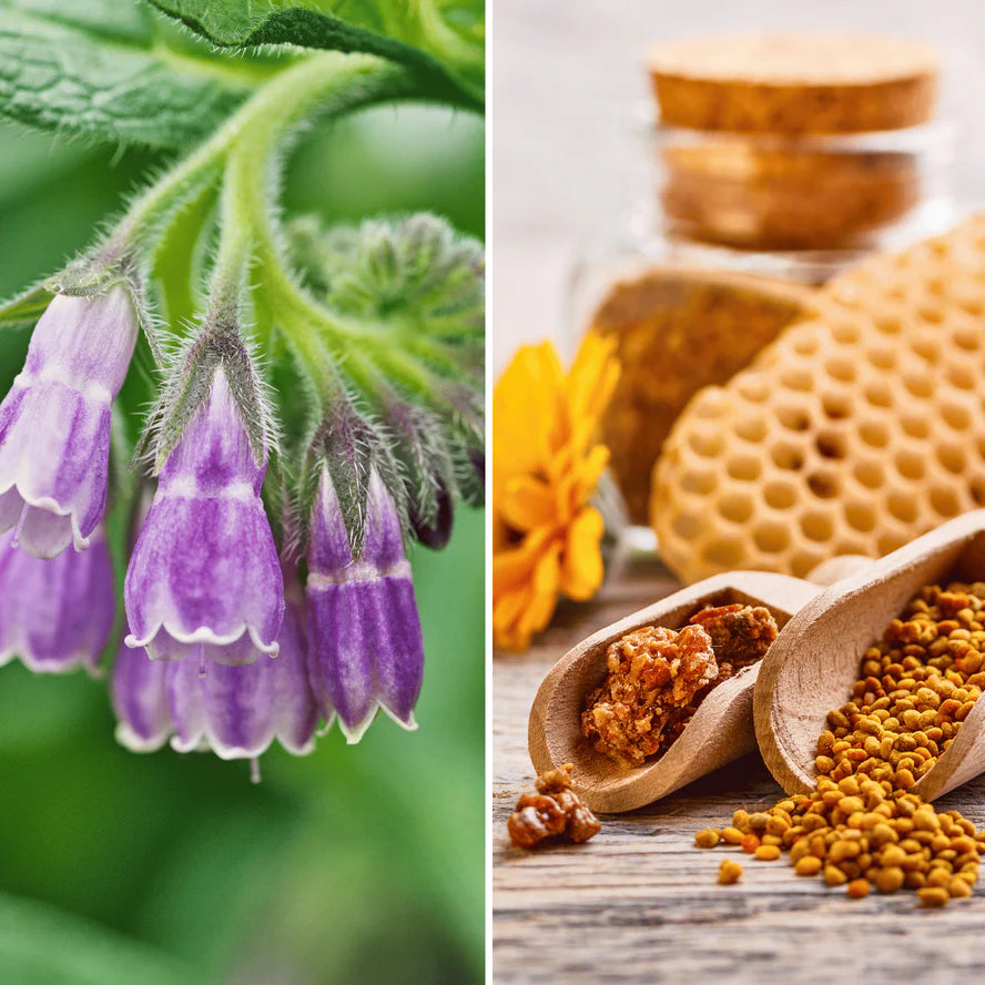 SAÚDE DAS VEIAS E TECIDOS